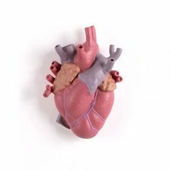 Seletti Vaso Love In Bloom Color Art 09923