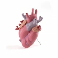 Seletti Vaso Love In Bloom Color Art 09923