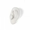 Seletti Memorabilia Mvsevm Ear