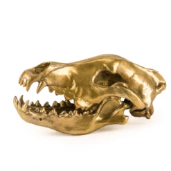 Seletti Wunderkrammer Wolf Skull