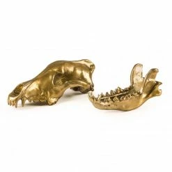 Seletti Aluminum Wolf Skull