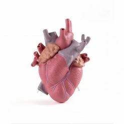 Seletti Love in Bloom Vase Color