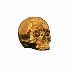 Seletti Calavera Gold Skull