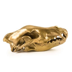 Seletti Wunderkrammer Wolf Skull