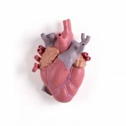 Seletti Love in Bloom Vase Color