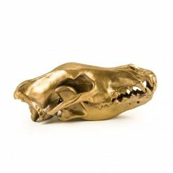Seletti Aluminum Wolf Skull