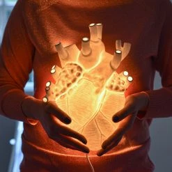 Seletti Porcelain Heart Wall Light