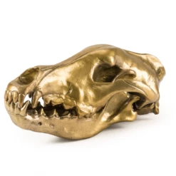 Seletti Wunderkrammer Wolf Skull