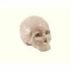 Seletti White Memorabilia My Skull
