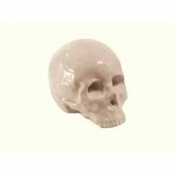 Seletti White Memorabilia My Skull