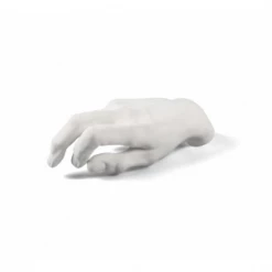 Seletti Memorabilia Mvsevm Male Hand