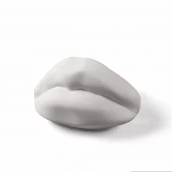 Seletti Porcelain Mouth Sculpture