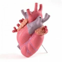 Seletti Love in Bloom Color Heart Shaped Vase