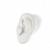 Seletti White Porcelain Ear Sculpture
