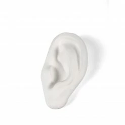 Seletti White Porcelain Ear Sculpture