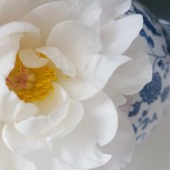 Seletti Hybrid Melania Vase