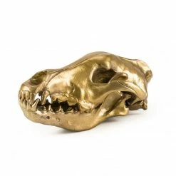 Seletti Aluminum Wolf Skull