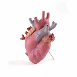 Seletti Love in Bloom Vase Color