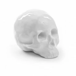 Seletti Porcelain Skull